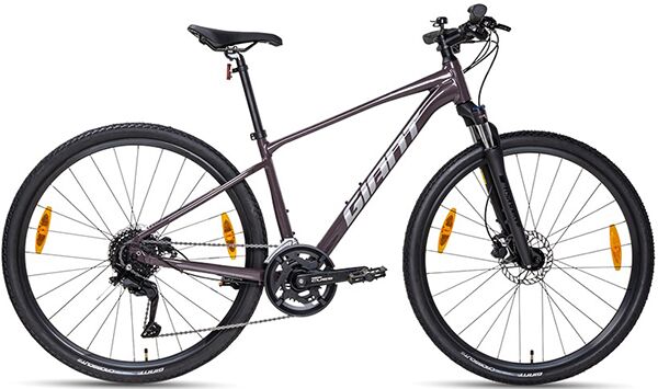 Xe đạp touring Giant Roam 2 Disc 2024